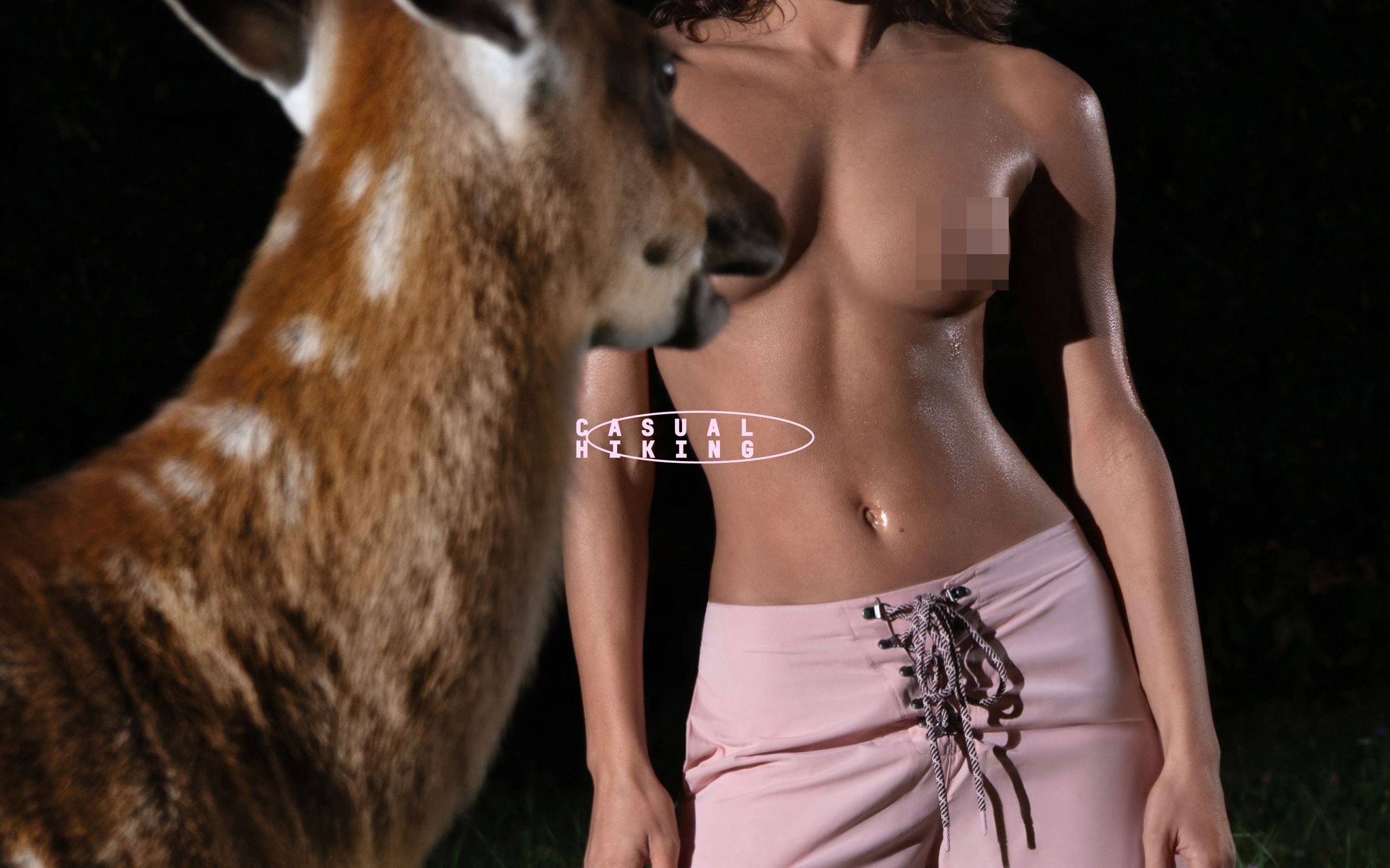 lookbook image