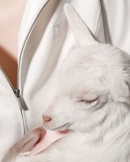 lookbook image